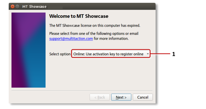 License wizard welcome screen with task options