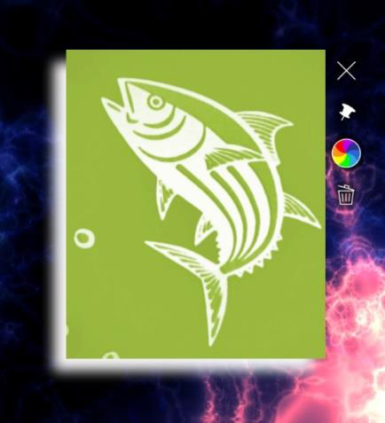 Image viewer widget with a white drop shadow