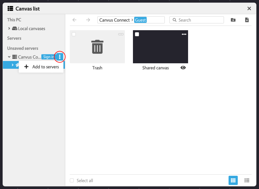 ../../_static/screenshots/canvases/canvas-list-unsaved-server.png